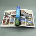 Custom Game Guide/Travel/Tour/Yearbook/Recipe/Cookbook/Brochure/Magazine Photo Book Printing Services