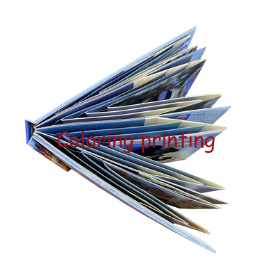 Wholesale Professional Customized Hardcover 3D Book Children/Kides Pop-up Book Printing Service