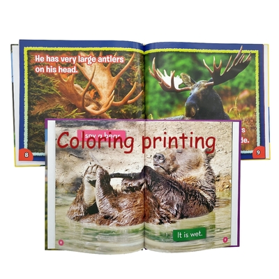 Hot Sale Wholesale Best Price Custom Hardcover Popular Library Binding Book Printing Services