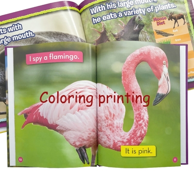 Hot Sale Wholesale Best Price Custom Hardcover Popular Library Binding Book Printing Services