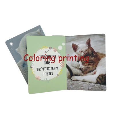 Board book,kids book,children book,children learning book