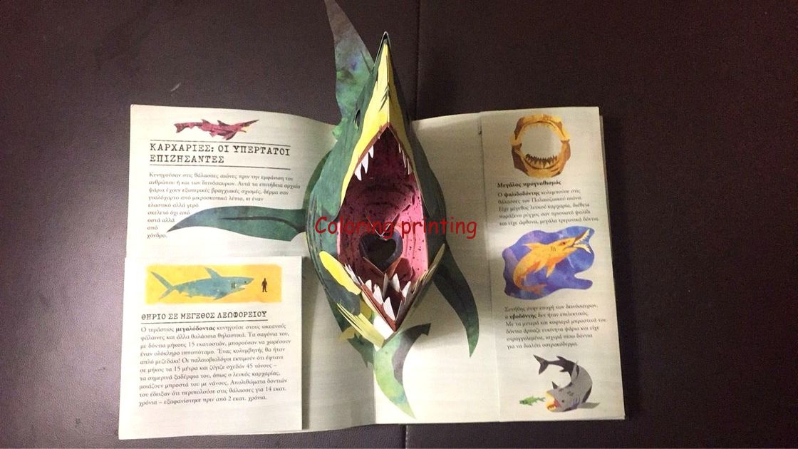 Best selling full color pop up children book,3D book,Eco-friendly China Pop Up Board Book children Printing Publisher